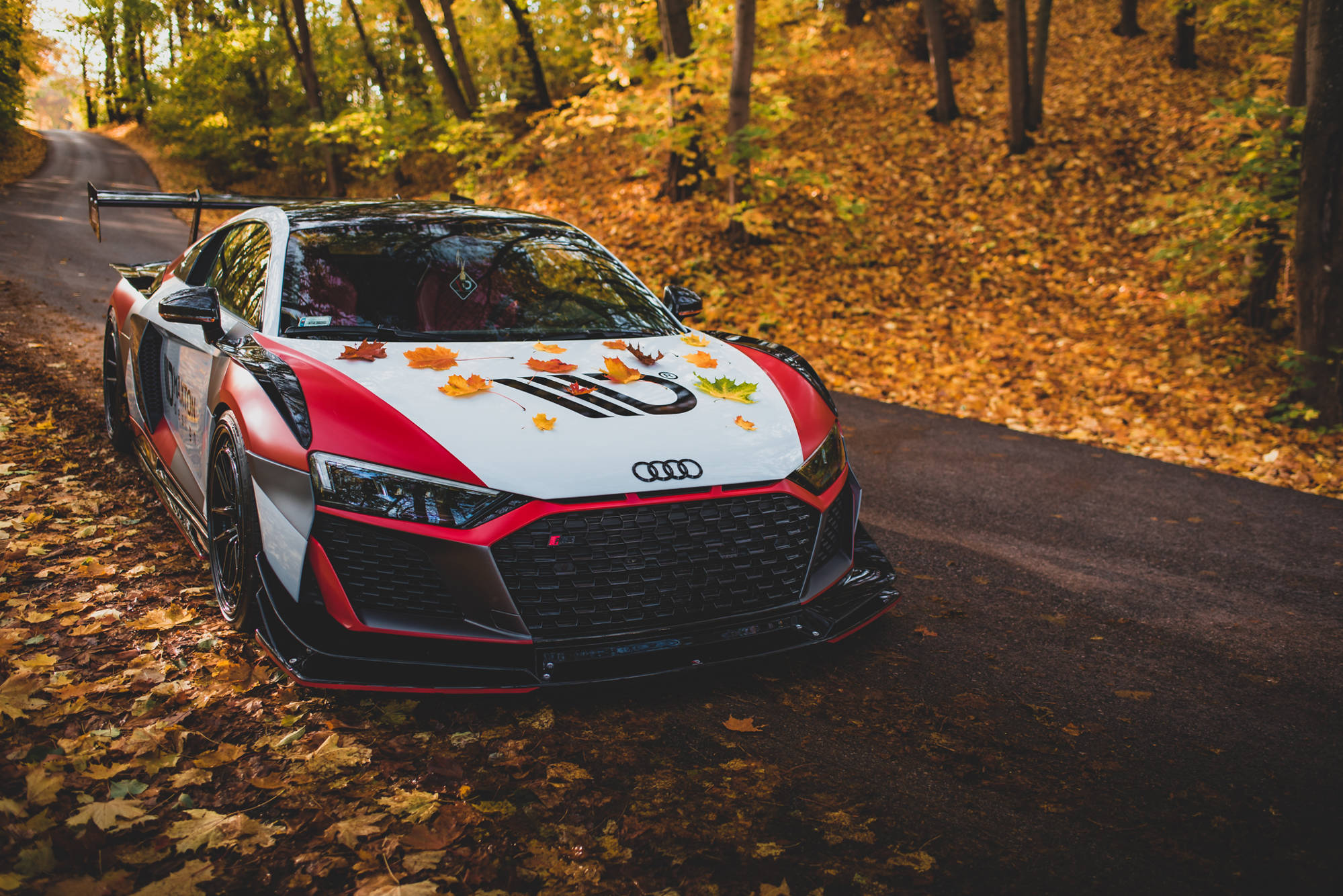 Bodykit passend für Audi R8 Mk2 FL